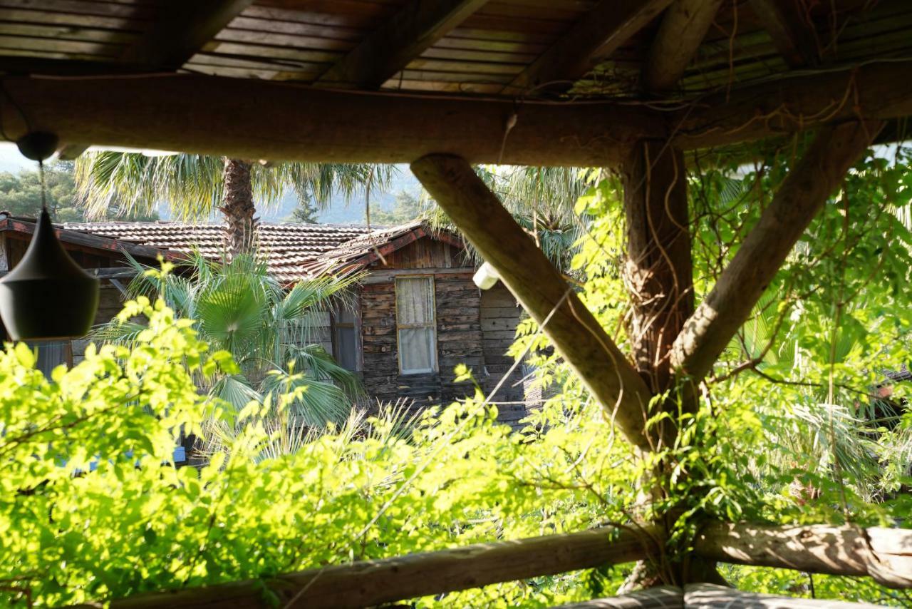 Domek letniskowy Kadir's Family House *